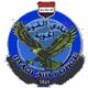 巴格达空军队