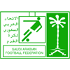 沙特超阿拉伯青年联赛